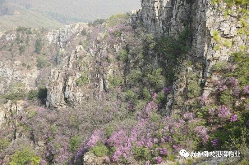 4001百老汇会员登入-百老汇官方网站