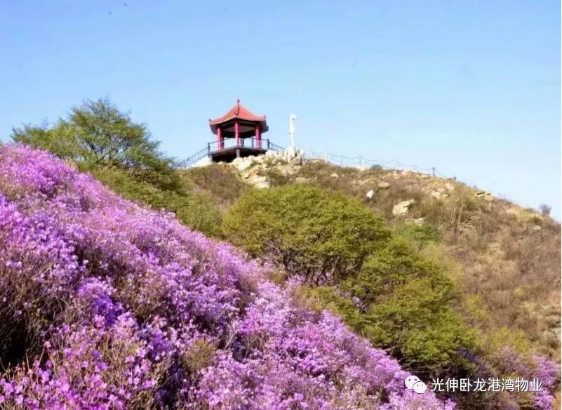 4001百老汇会员登入-百老汇官方网站