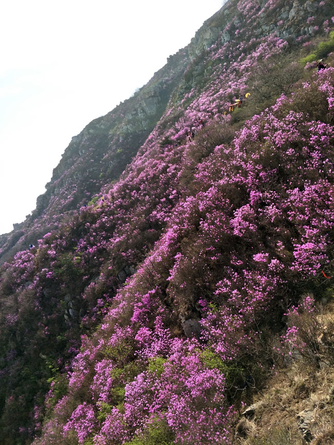4001百老汇会员登入-百老汇官方网站
