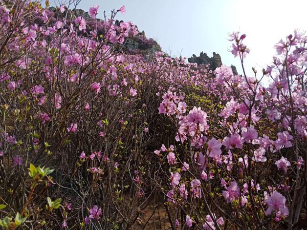 4001百老汇会员登入-百老汇官方网站