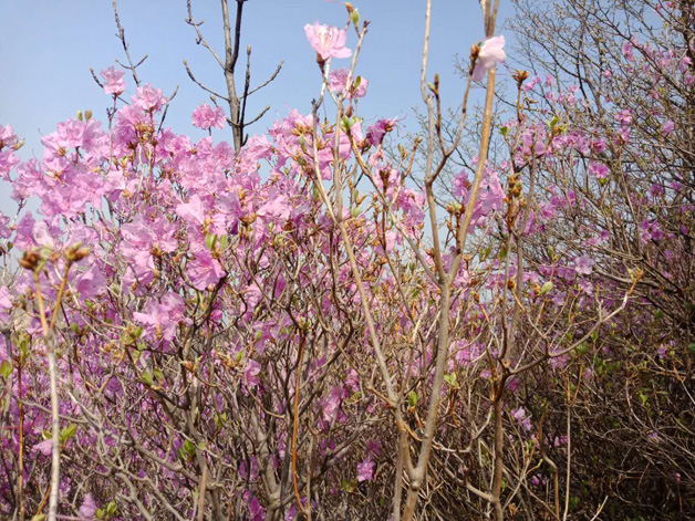 4001百老汇会员登入-百老汇官方网站